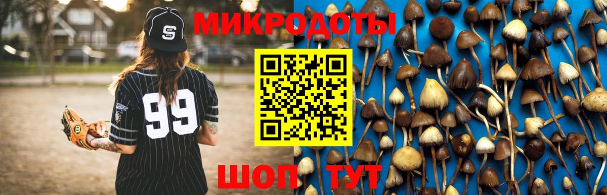 Псилоцибиновые грибы Magic Shrooms  Псилоцибиновые грибы Cubensis  Вход с VPN  Ефремов 